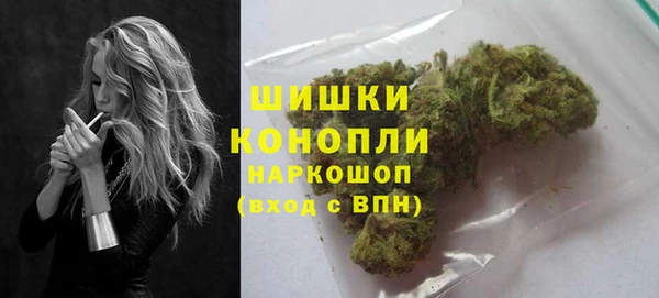спиды Бикин