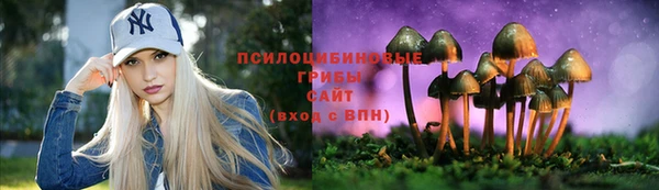 тгк Билибино