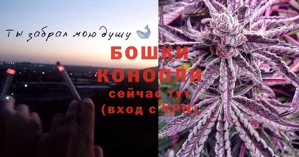 СК Покровск