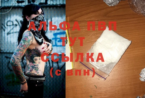 спиды Бикин