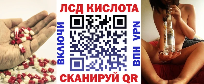 mega ссылки Каменногорск Лсд 25 экстази кислота