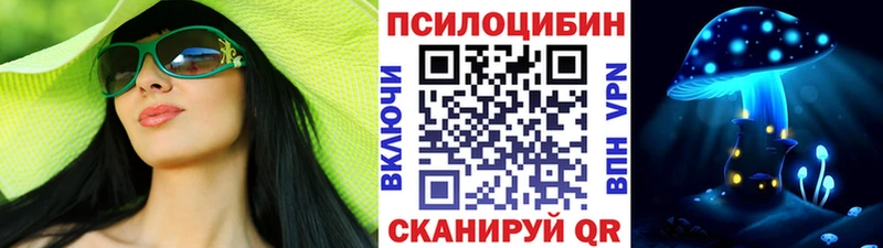 Галлюциногенные грибы Psilocybe Каменногорск