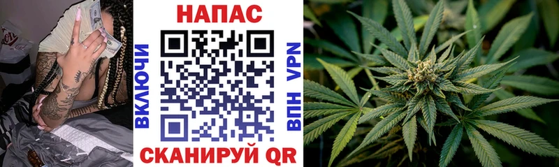 Бошки Шишки индика Каменногорск